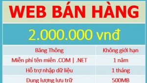 Read more about the article Đăng ký website bán hàng