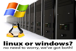 windows hosting linux hosting